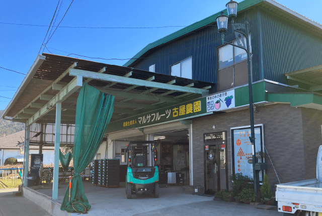 マルサフルーツ古屋農園 様
