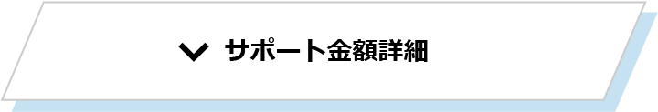 サポート概要