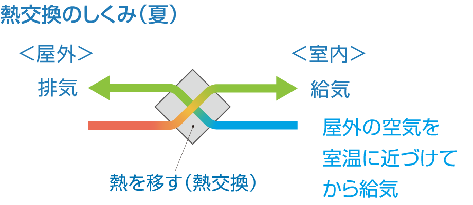 サラビアの仕様