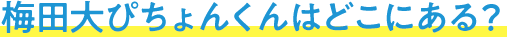 梅田大ぴちょんくんはどこにある？