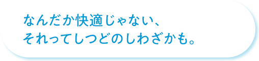 なんだか快適じゃない、それってしつどのしわざかも。