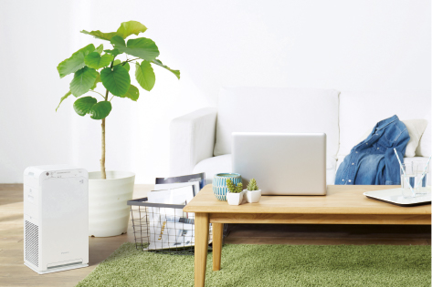 2024年モデル MC554A コンパクト| 空気清浄機（家電量販店取扱商品  