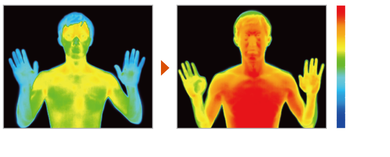セラムヒート使用前・使用後の体表温度の違い