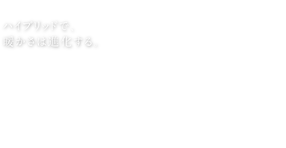 遠赤外線暖房機 ハイブリッドセラムヒート(家電量販店取扱商品)