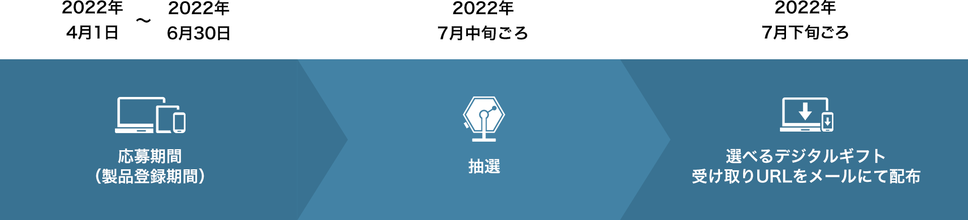 キャンペーンスケジュール
