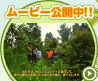 ムービー公開中