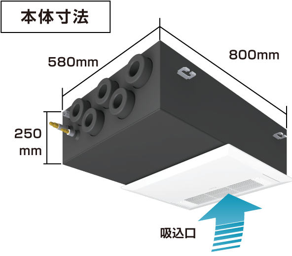 本体寸法 縦250mm x 横580mm x 奥行800mm