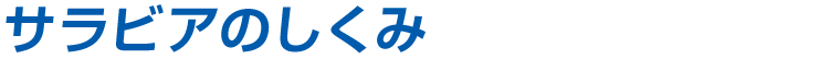 サラビアのしくみ