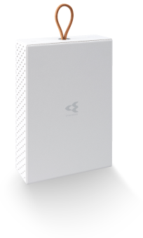 LOOP STREAMER ループストリーマ