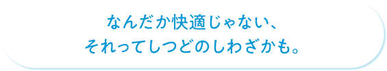 なんだか快適じゃない、それってしつどのしわざかも。