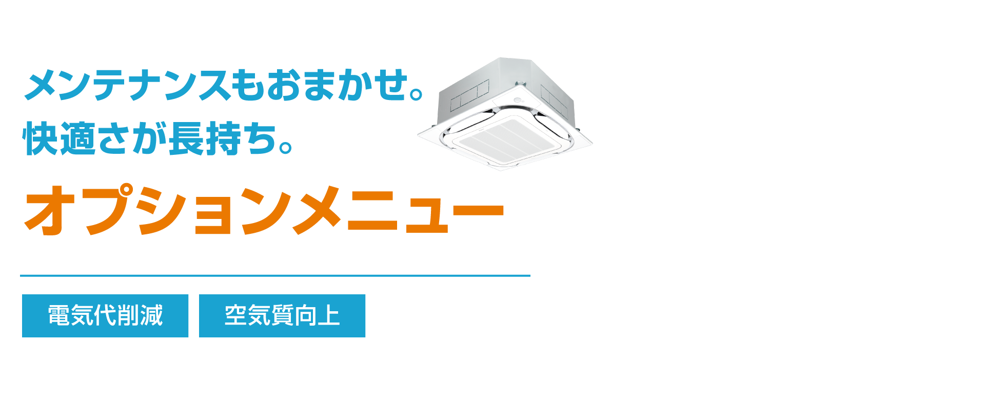 メンテナンスもおまかせ。快適さが長持ち。オプションメニュー