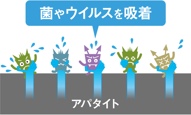 アパタイトが菌やウイルスを吸着しているイメージ